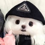 Avatar Bianca Molina